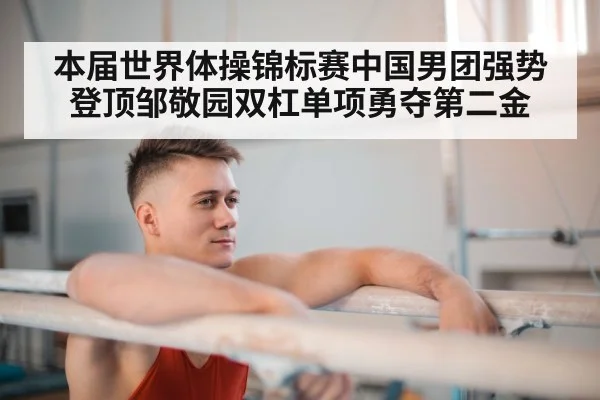 parallel bars gymnastics