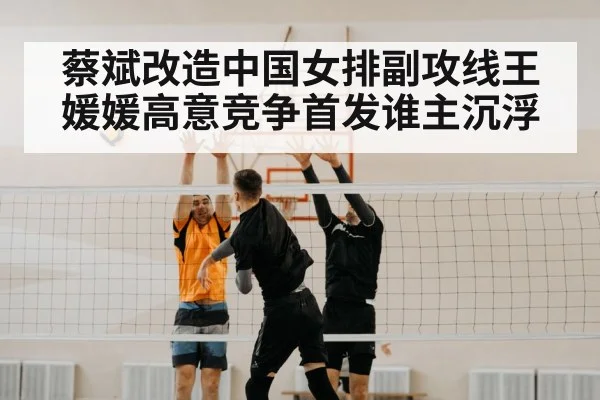 volleyball net block